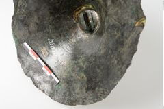 Foto von Bronzephalere (NHMW-PRAE-026056)